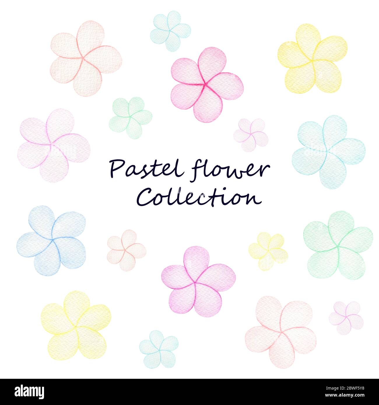 collection de fleurs pastel simple, fleurs colorées et joyeuses dans l'aquarelle illustration isolée sur blanc Banque D'Images