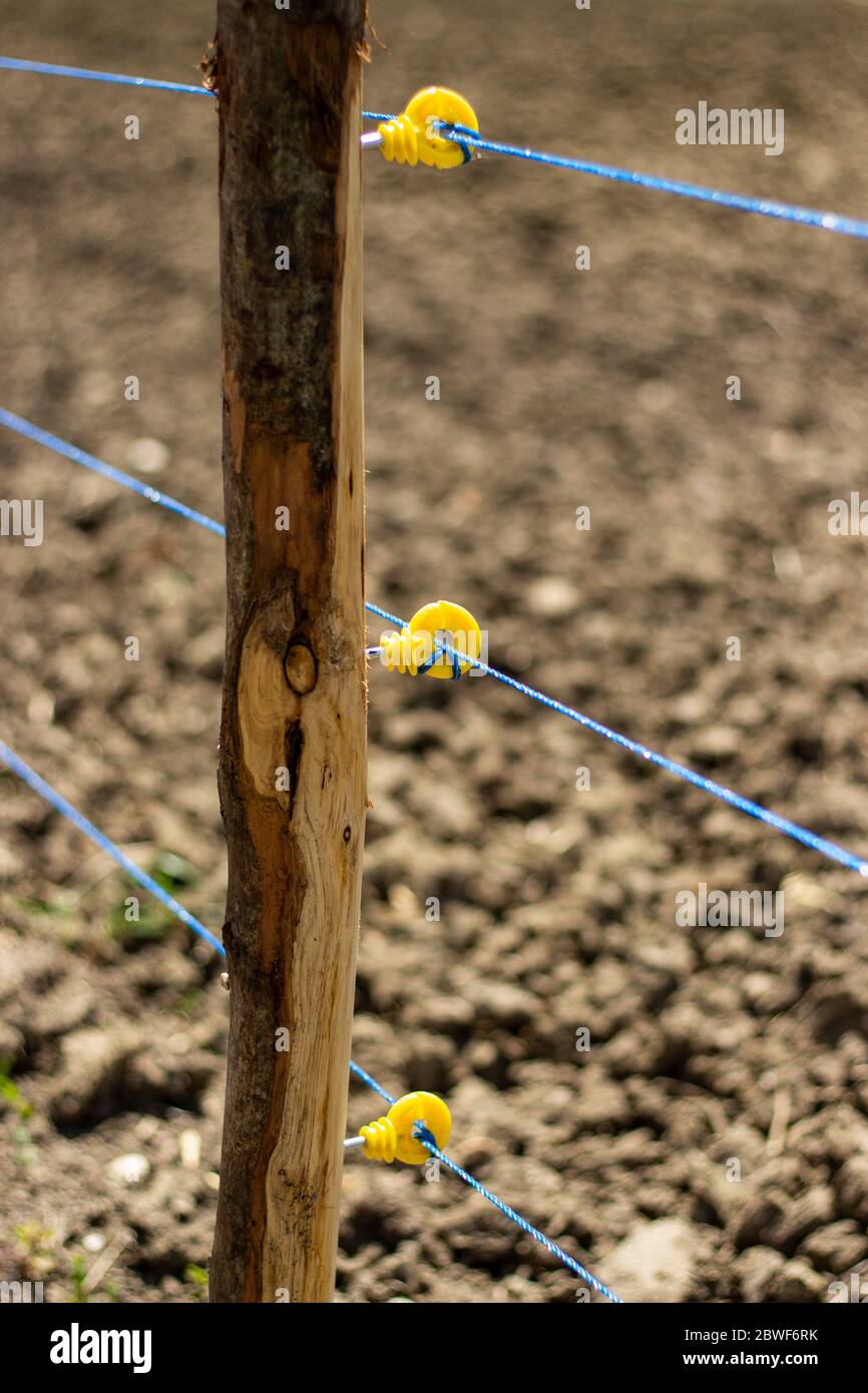 vue sur un jardin potager cultivé clôturé avec courant électrique contre les sangliers Banque D'Images