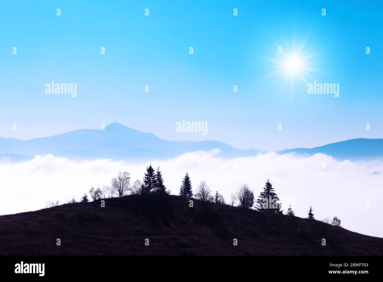 Beauté montagnes bleues avec ciel clair, soleil lumineux et silhouette d'arbres. Photographie de paysage Banque D'Images