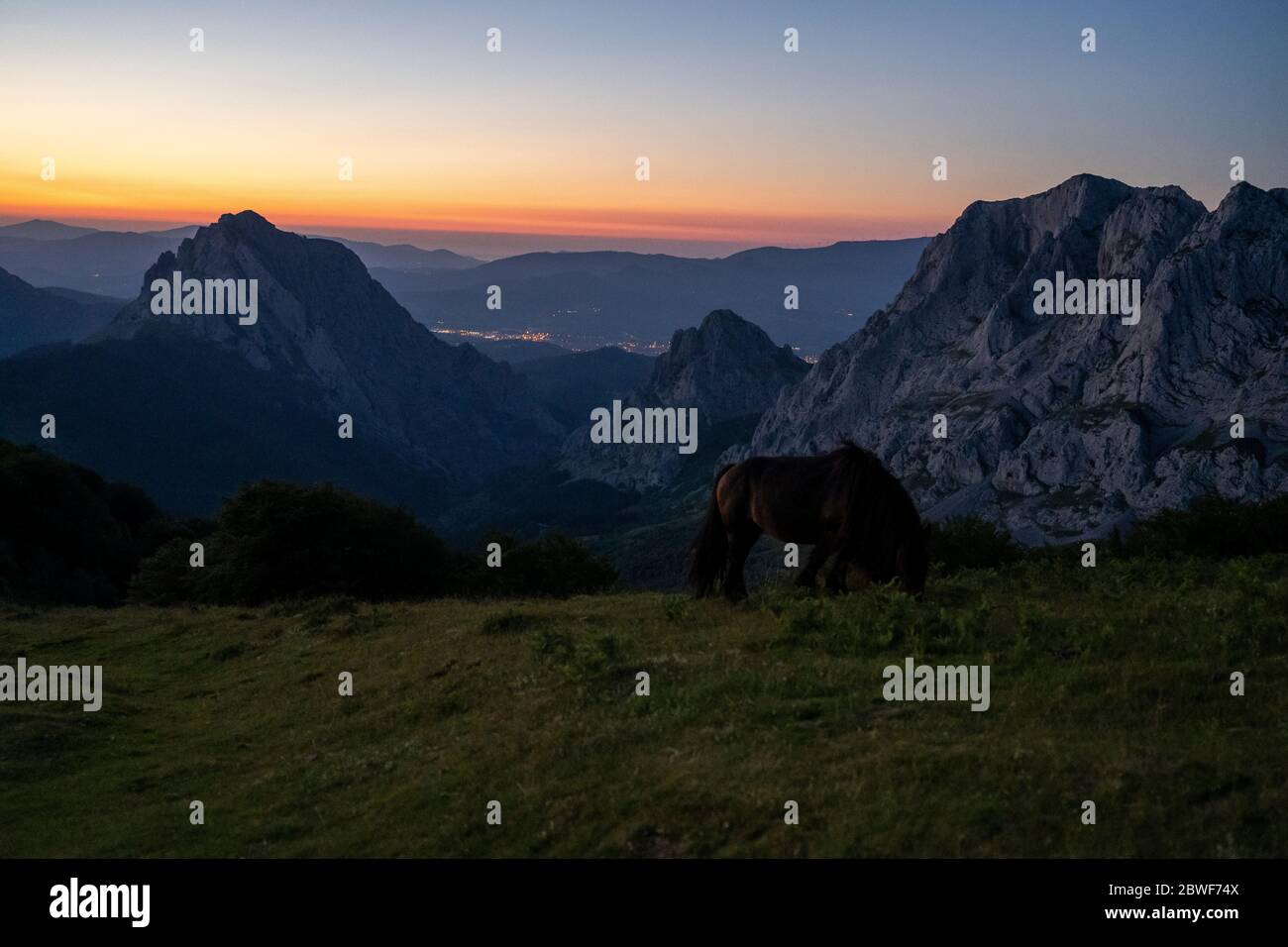 herbe de cheval dans les montagnes basques, espagne Banque D'Images