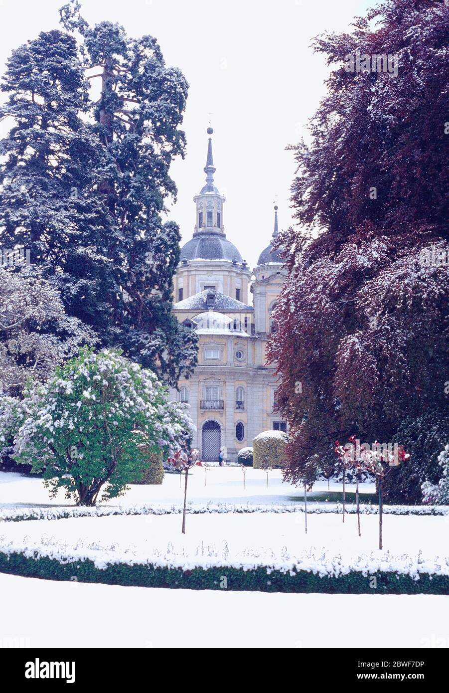 Jardins enneigés. La Granja De San Ildefonso, Province De Segovia, Castille Leon, Espagne. Banque D'Images