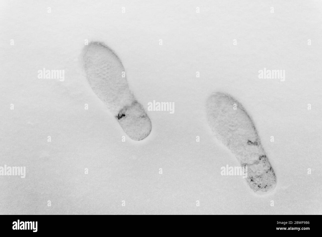 Empreintes de pieds claires et profondes sur la neige blanche d'hiver . Vue du dessus. Texture de la neige. Empreintes humaines dans la neige. Fond naturel d'hiver. Shoeprin Banque D'Images