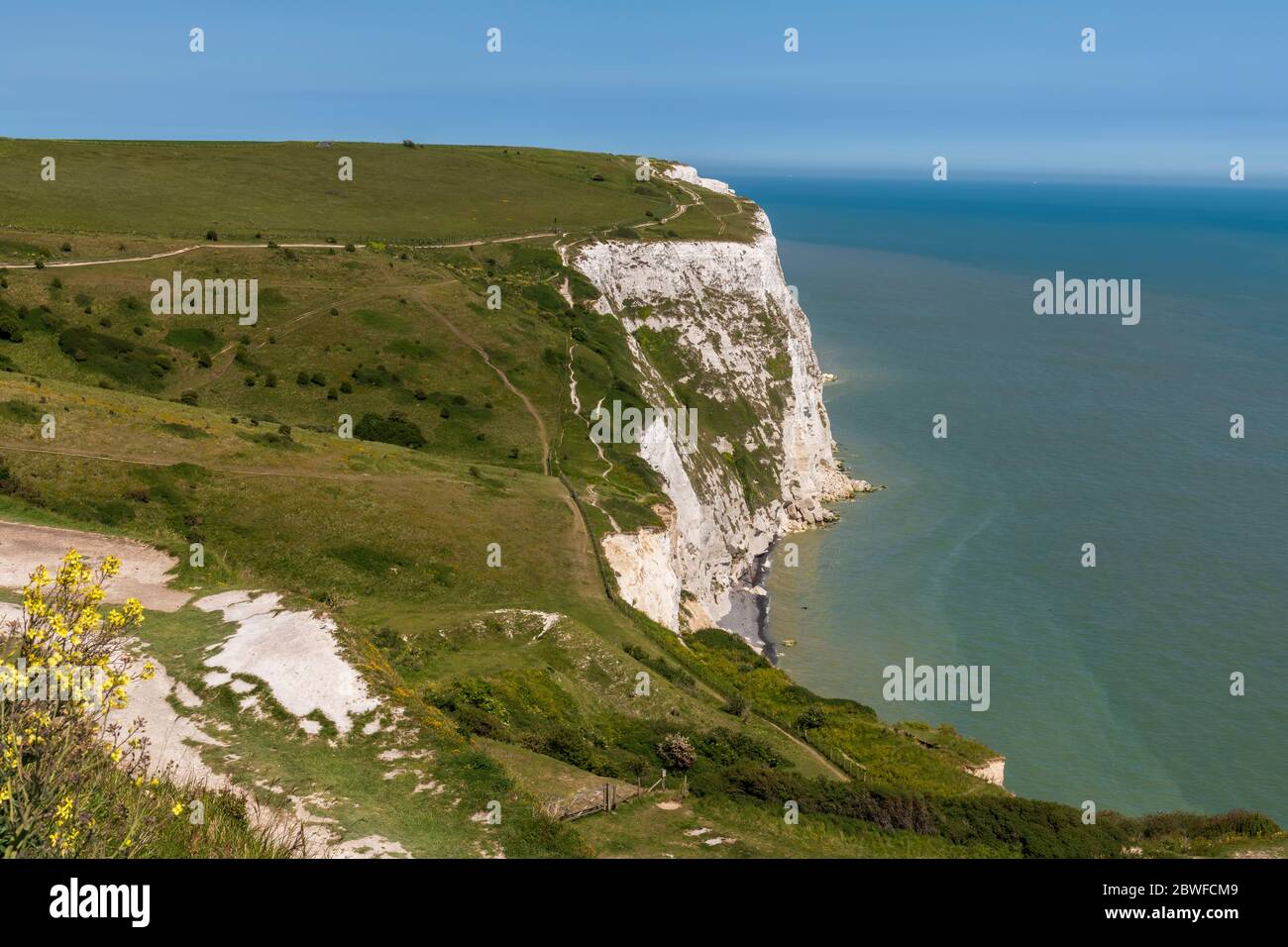 Vue sur les falaises blanches de Douvres, Grande-Bretagne Banque D'Images