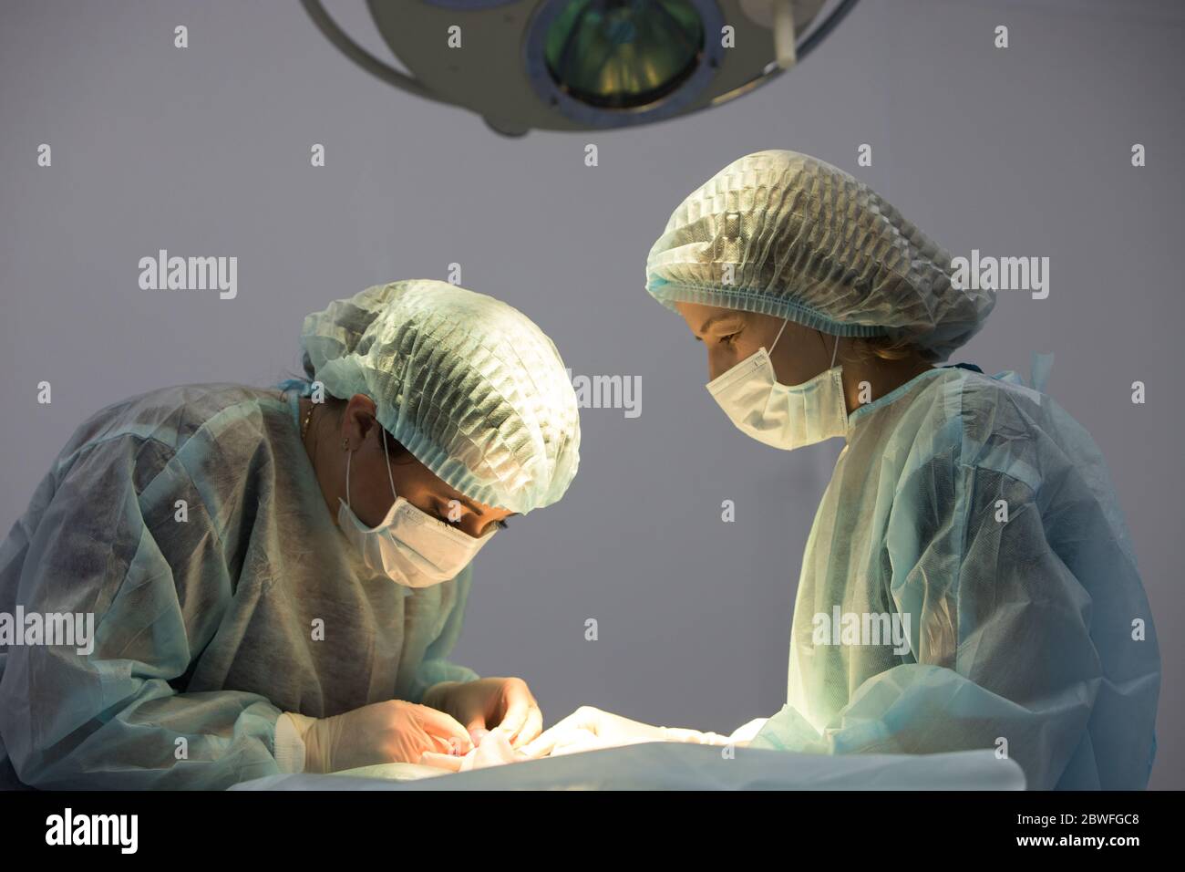 Vue rapprochée de deux femmes vétérinaires fait la chirurgie de stérilisation de chat et ragoûts la plaie, vétérinaire tenant une aiguille dans ses mains. Chirurgie vétérinaire, o Banque D'Images