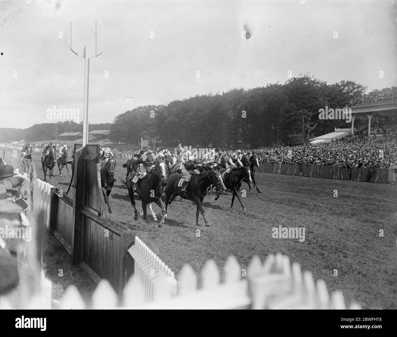 Les courses de Goodwood . M. D S Chaverien ' s Compiler ' ( Lister UP ) a remporté la coupe des stewards avec ' Huth Duth ' 2e et ' Pondoland ' 3 juillet 29 1924 Banque D'Images