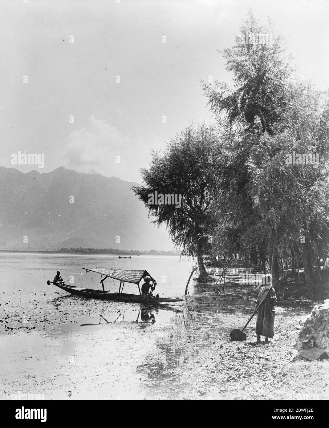 Cachemire , Inde . Un boatman collectant Singara , une sorte de fruit qui pousse dans l'eau . 4 décembre 1924 Banque D'Images
