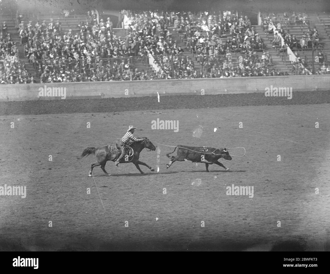 Rodéo international à Wembley . Une photographie remarquable obtenue lors de la compétition de brassier . 14 juin 1924 Banque D'Images
