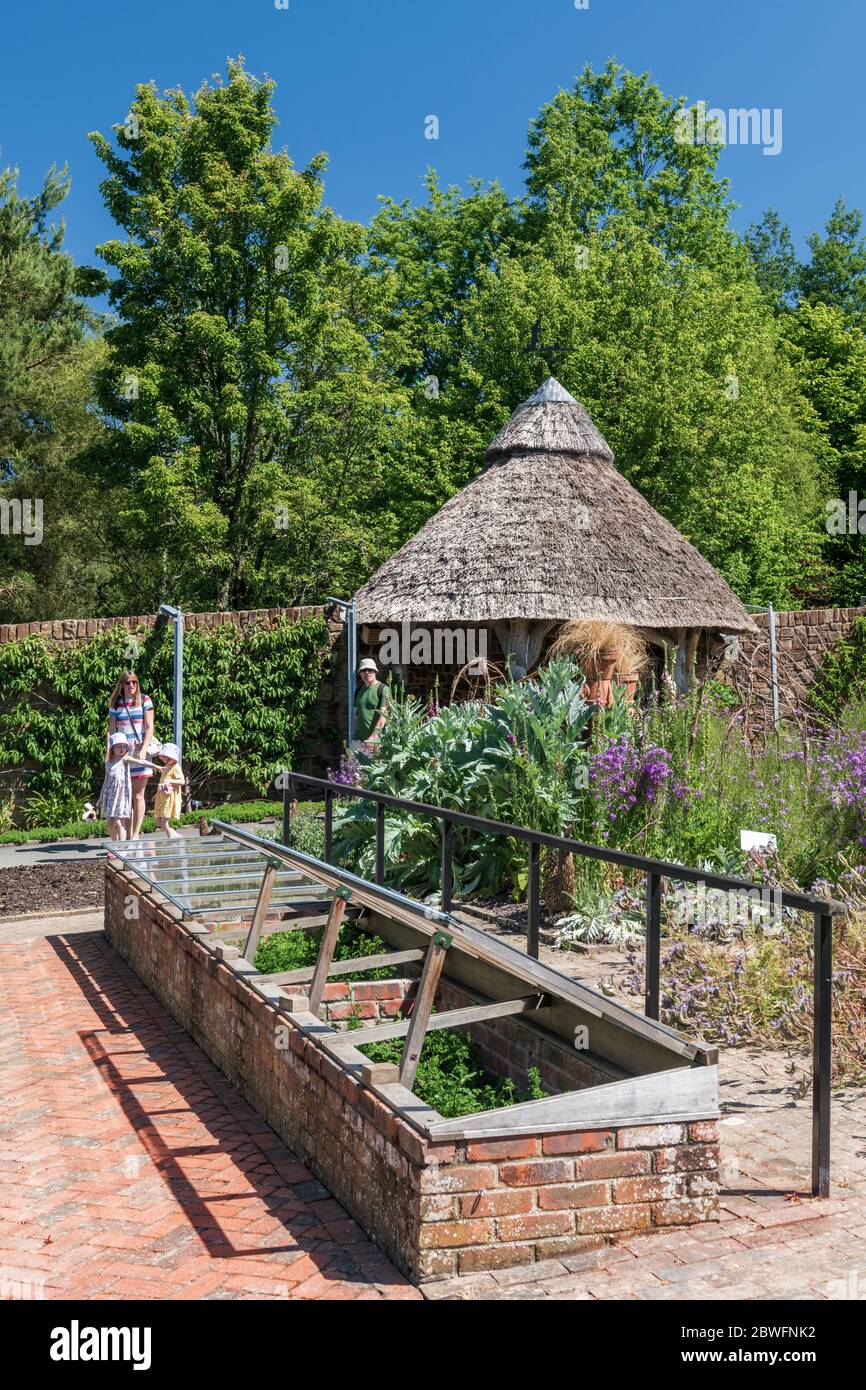 Great Torrington, North Devon, Angleterre. Lundi 1er juin 2020. Météo Royaume-Uni. Pendant un bel été, RHS Rosemoor a ouvert ses portes aux membres pour la première fois depuis le confinement. Seuls les visiteurs préréservés arrivant à des créneaux horaires définis ont pu facilement prendre des distances. Crédit : Terry Mathews/Alay Live News Banque D'Images