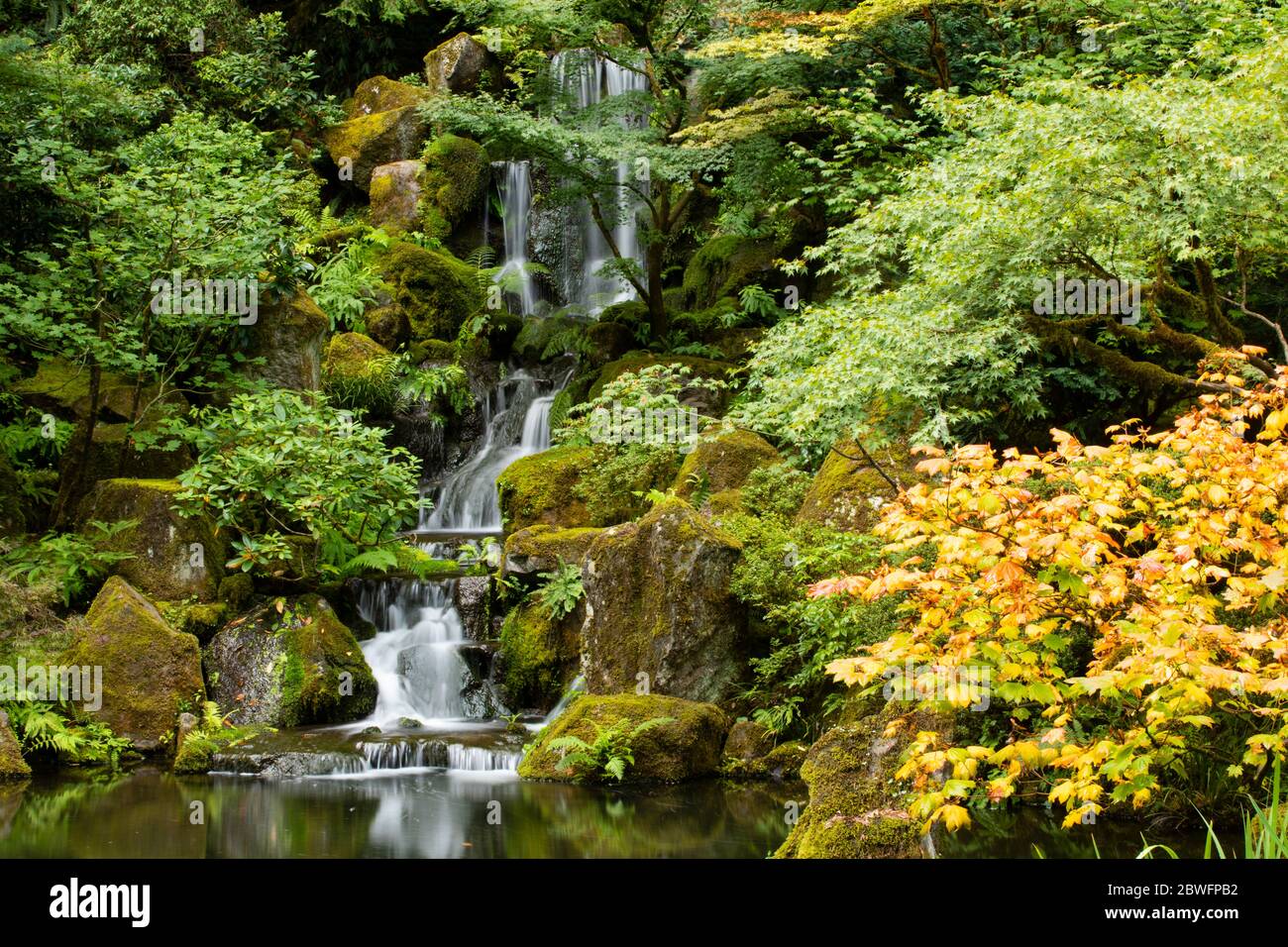 bassin-de-jardin-avec-cascade-banque-de-photographies-et-d-images