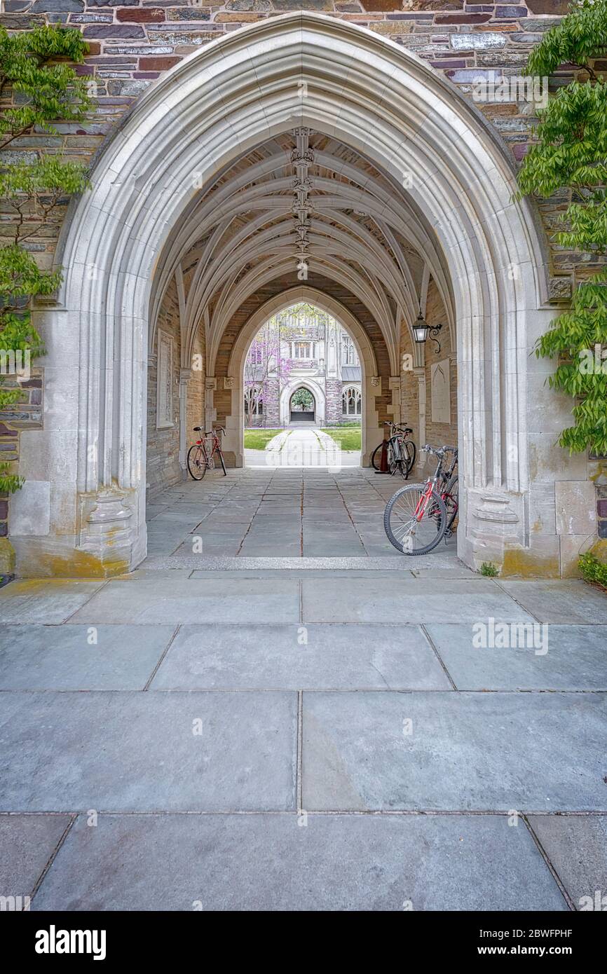 Princeton Rockefeller Arch - VUE sur le style d'architecture gothique collégiale du Rockefeller College. Banque D'Images
