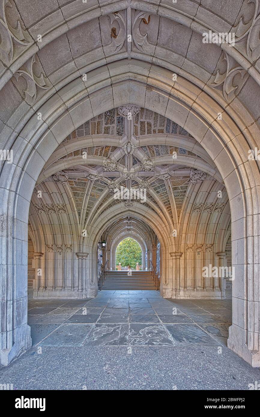 Ligue de lierre privée de l'Université de Princeton à Princeton, New Jersey Banque D'Images