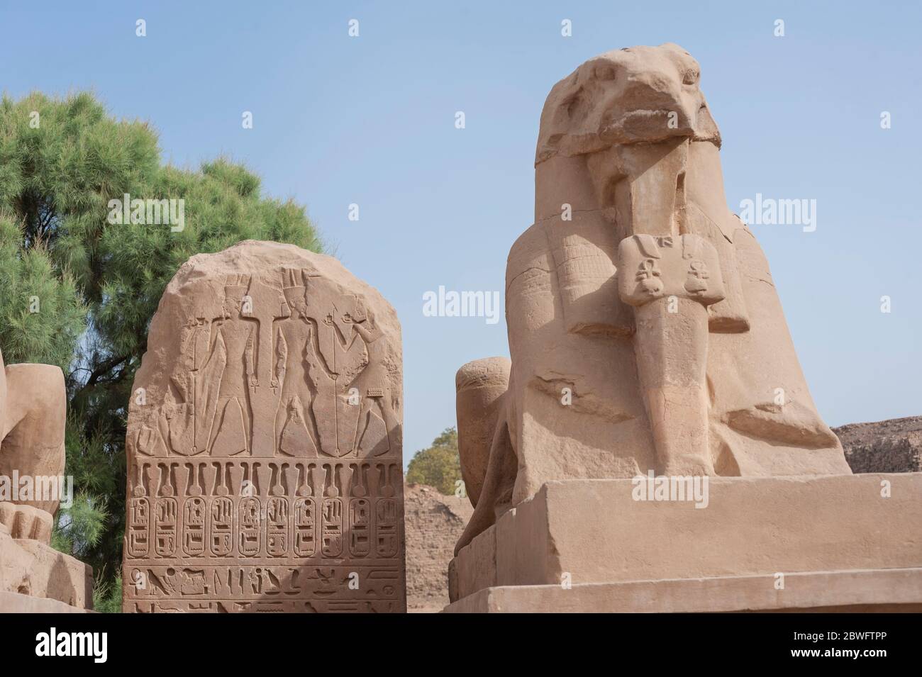 Un ancien bélier égyptien a dirigé la statue de sphinx de pierre et une tablette au temple de Karnak à Louxor Banque D'Images