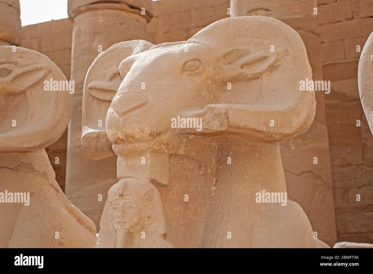Un ancien bélier égyptien a dirigé la statue de sphinx de pierre au temple de Karnak à Louxor Banque D'Images