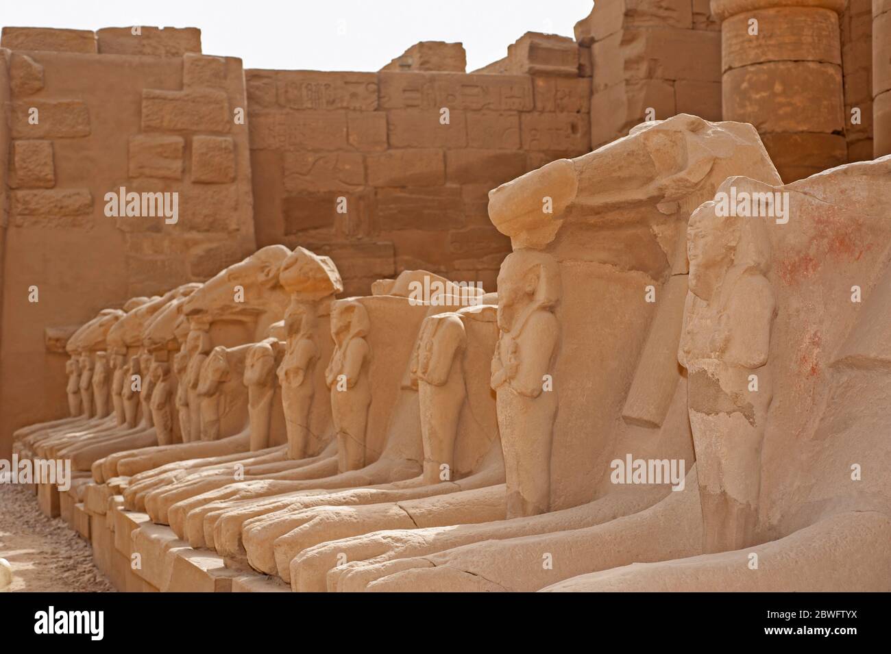Un ancien bélier égyptien a dirigé la statue de sphinx de pierre au temple de Karnak à Louxor Banque D'Images