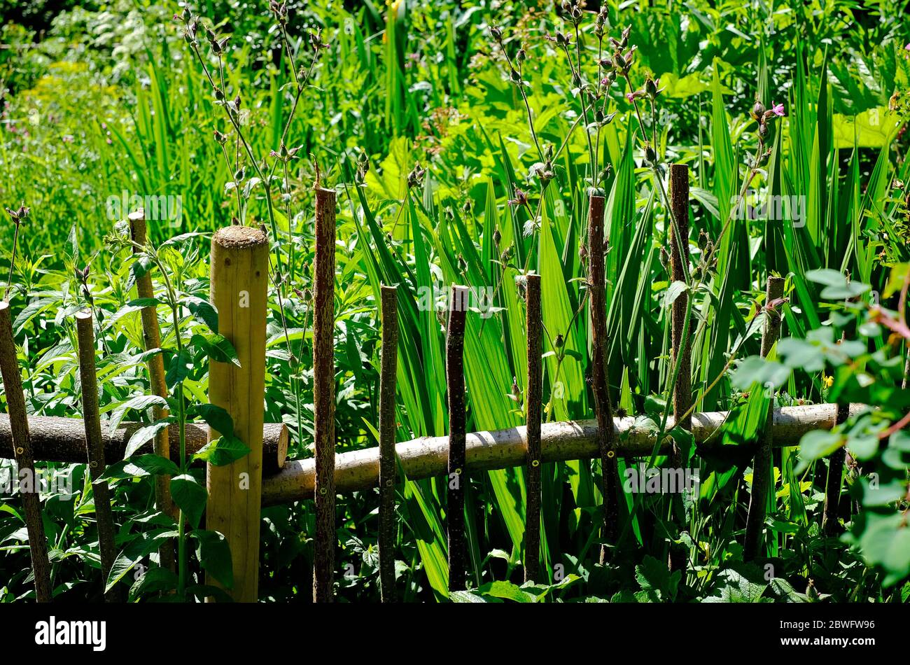 clôture en bois faite à la main dans le jardin de fleurs sauvages, norfolk, angleterre Banque D'Images