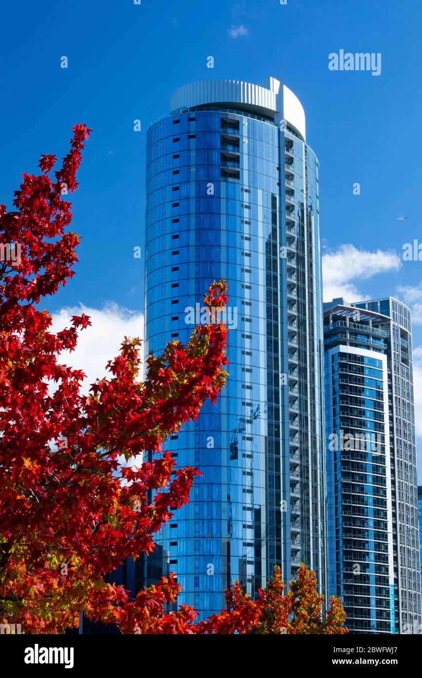 McKenzie Apartments Skyscraper, Seattle, Washington, États-Unis Banque D'Images