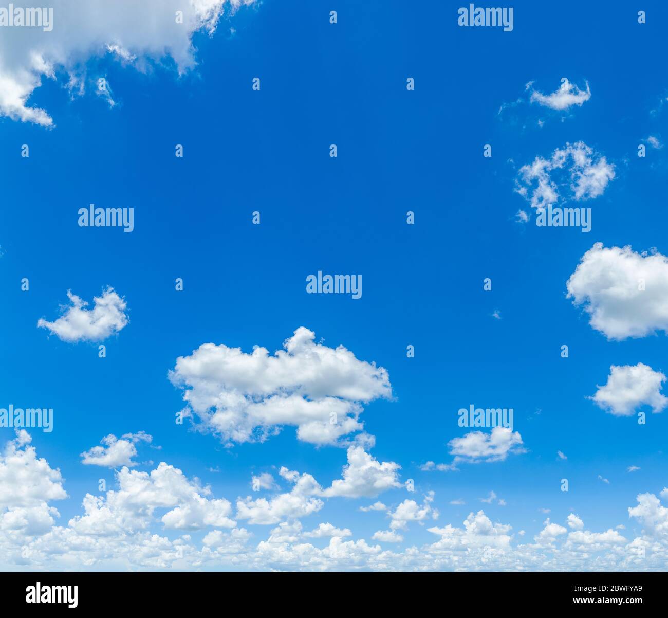 Nuages blancs (cumulus) sur ciel bleu au-dessus du sud-ouest de la Floride, États-Unis Banque D'Images