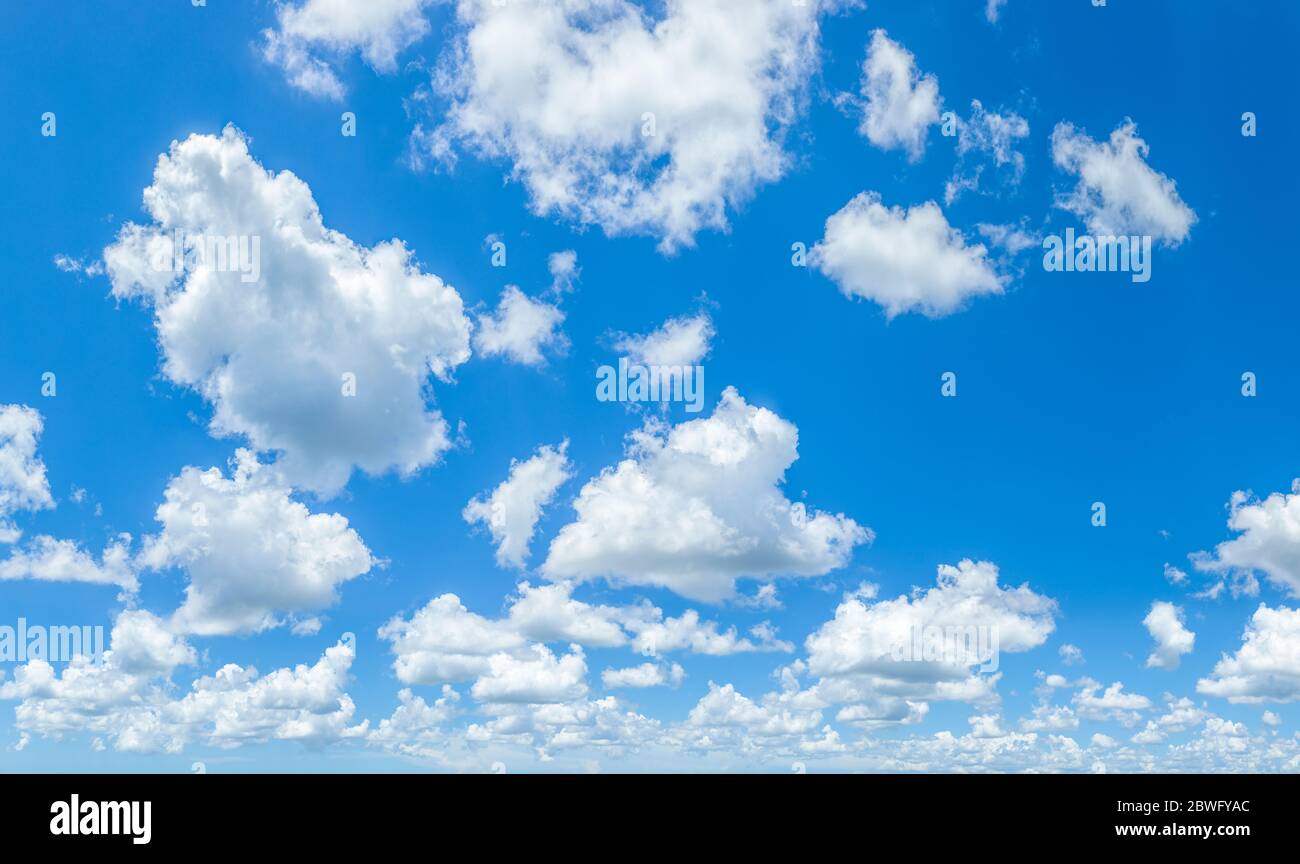 Nuages blancs (cumulus) sur ciel bleu au-dessus du sud-ouest de la Floride, États-Unis Banque D'Images