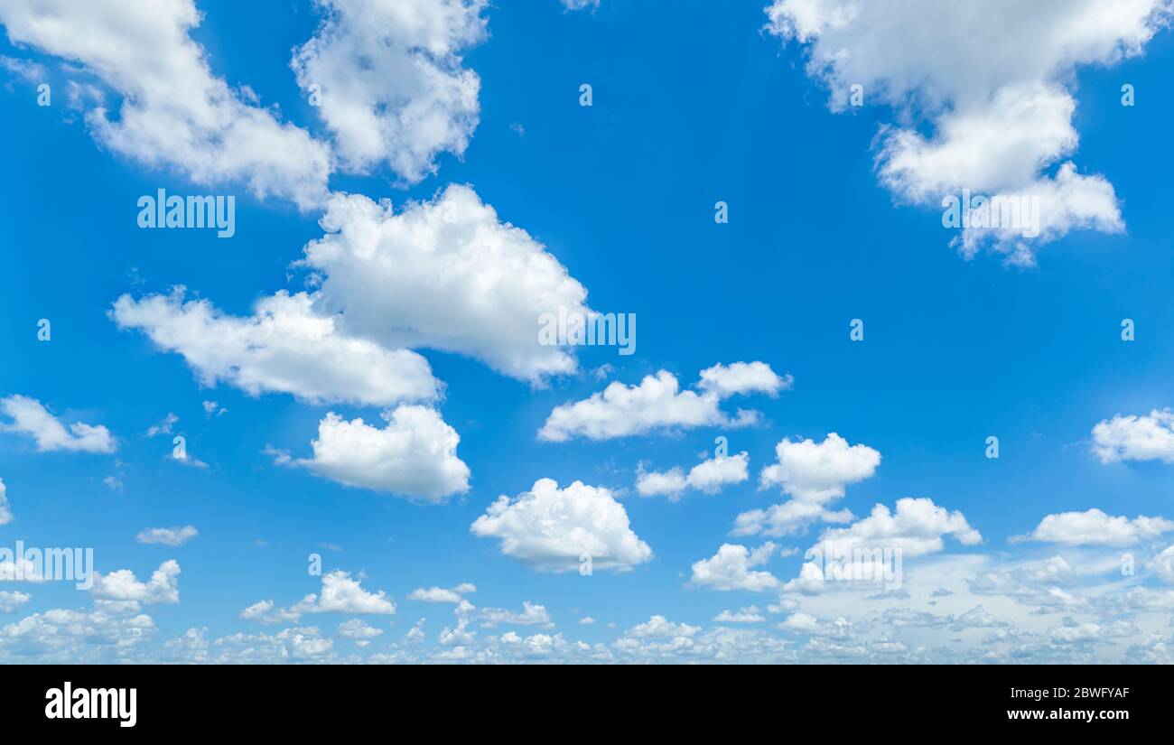 Nuages blancs (cumulus) sur ciel bleu au-dessus du sud-ouest de la Floride, États-Unis Banque D'Images