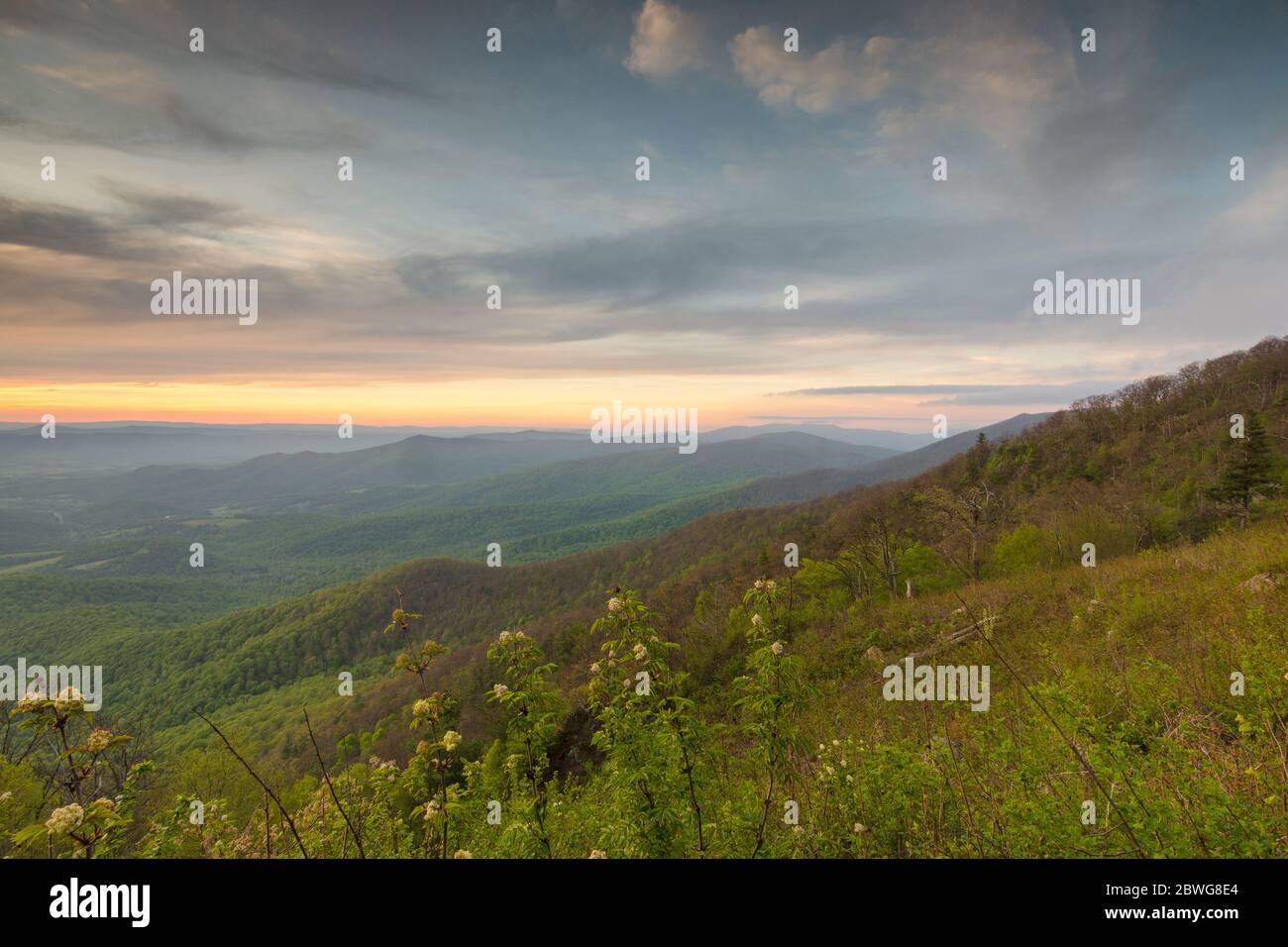 Coucher de soleil dans le parc national de Shenandoah Banque D'Images