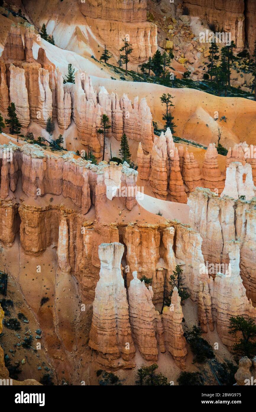 Formations rocheuses érodées de Bryce Canyon, Utah, États-Unis Banque D'Images