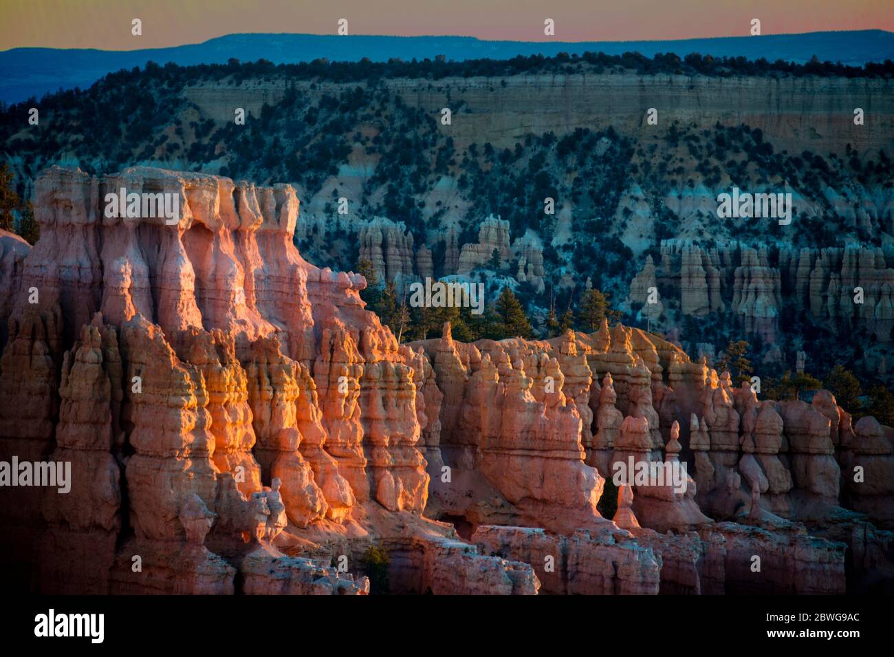 Formations rocheuses érodées de Bryce Canyon, Utah, États-Unis Banque D'Images