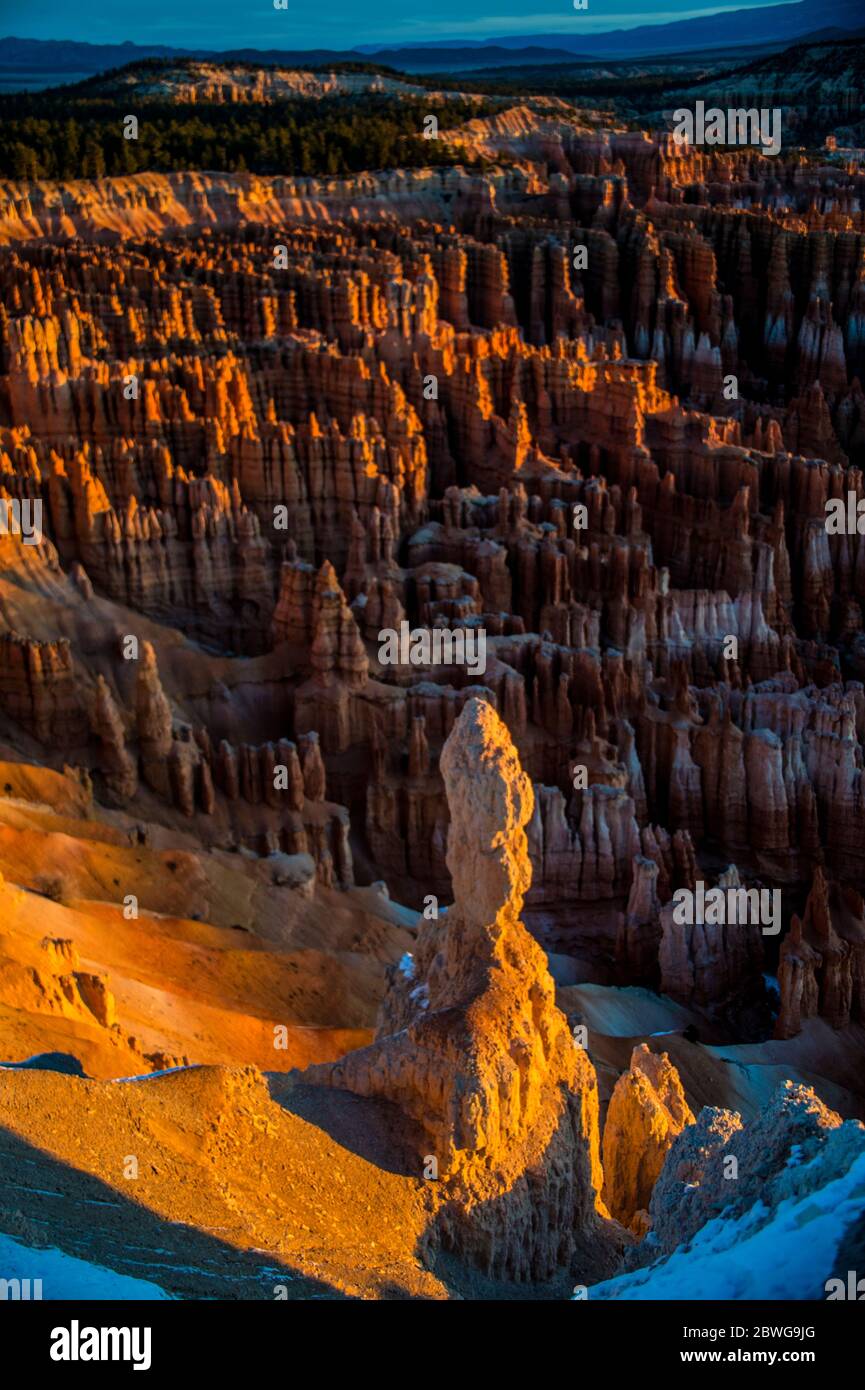 Formations rocheuses érodées de Bryce Canyon, Utah, États-Unis Banque D'Images