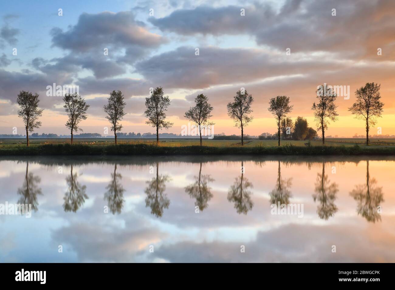 rangée d'arbres reflétée dans la rivière au lever du soleil Banque D'Images