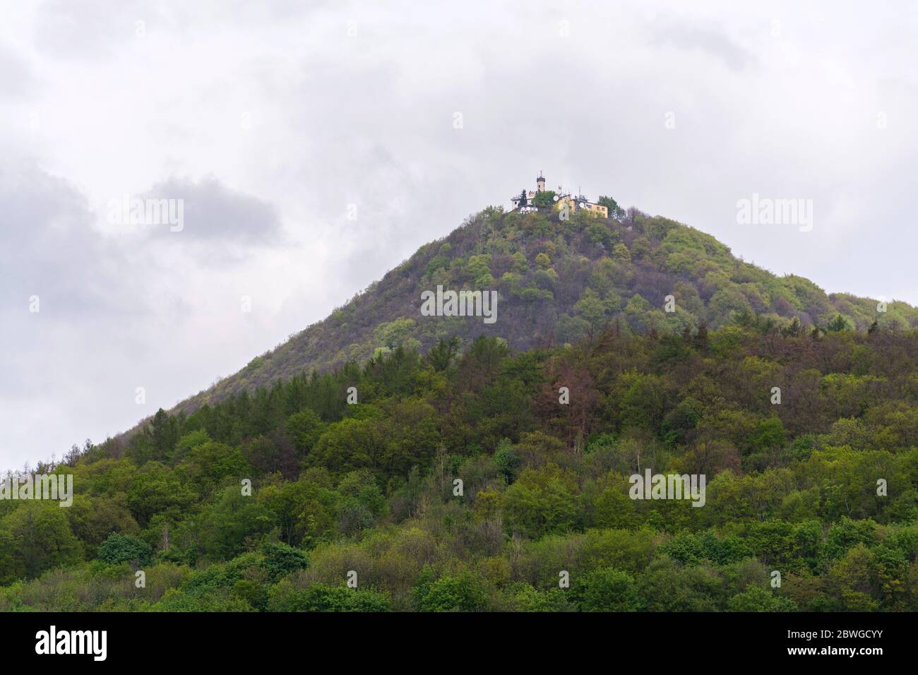 Forêt mixte verte sur Milesovka, la plus haute montagne de Ceske strodohori avec tour de guet, station météorologique et observatoire, République tchèque Banque D'Images