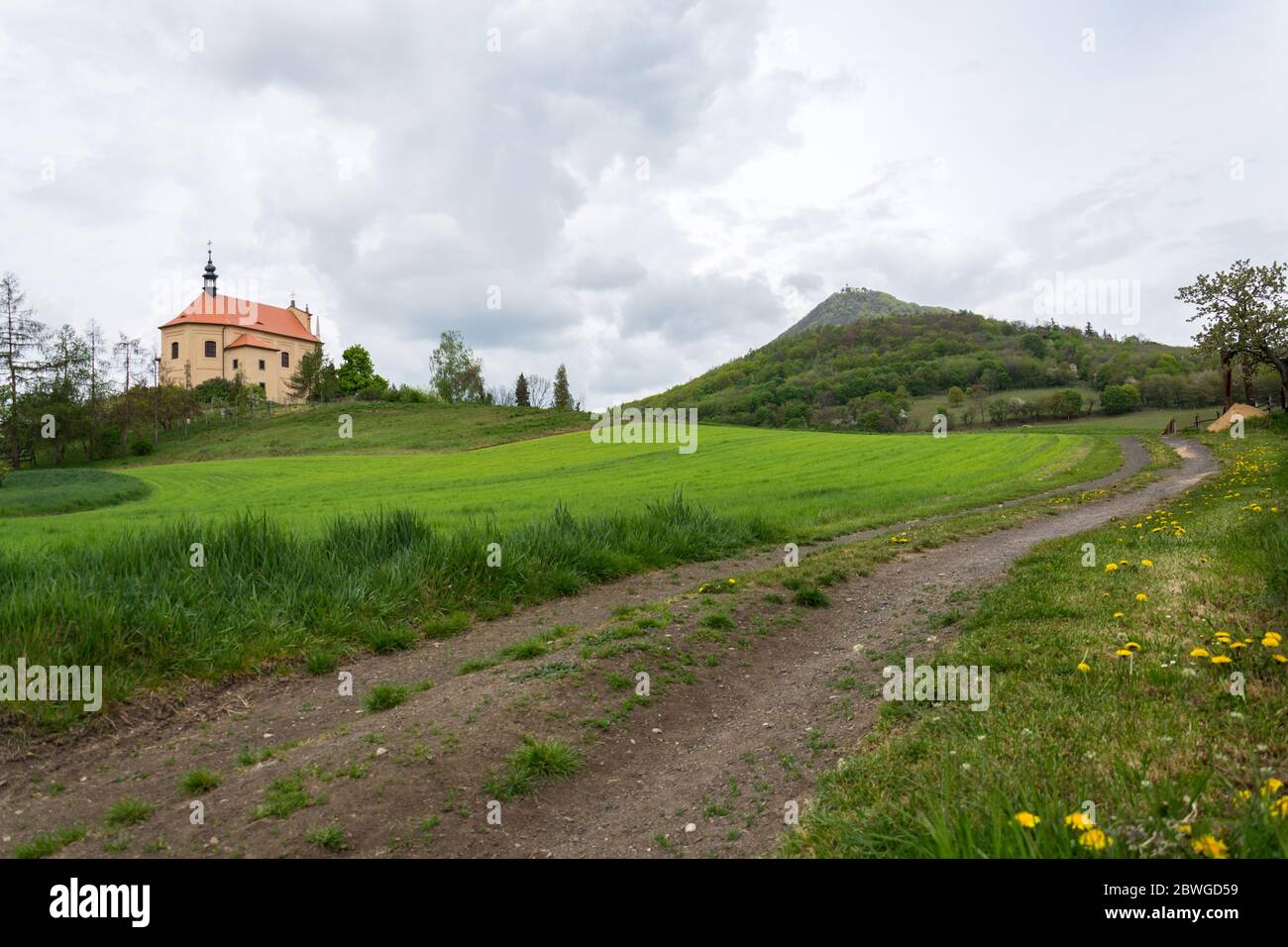 Forêt mixte verte sur Milesovka, la plus haute montagne de Ceske strodohori avec tour de guet, station météorologique et observatoire, République tchèque Banque D'Images