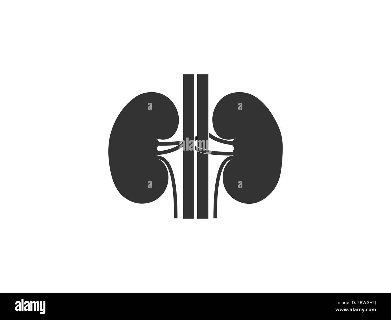 Reins, médical, icône d'organe. Illustration vectorielle, conception plate. Illustration de Vecteur