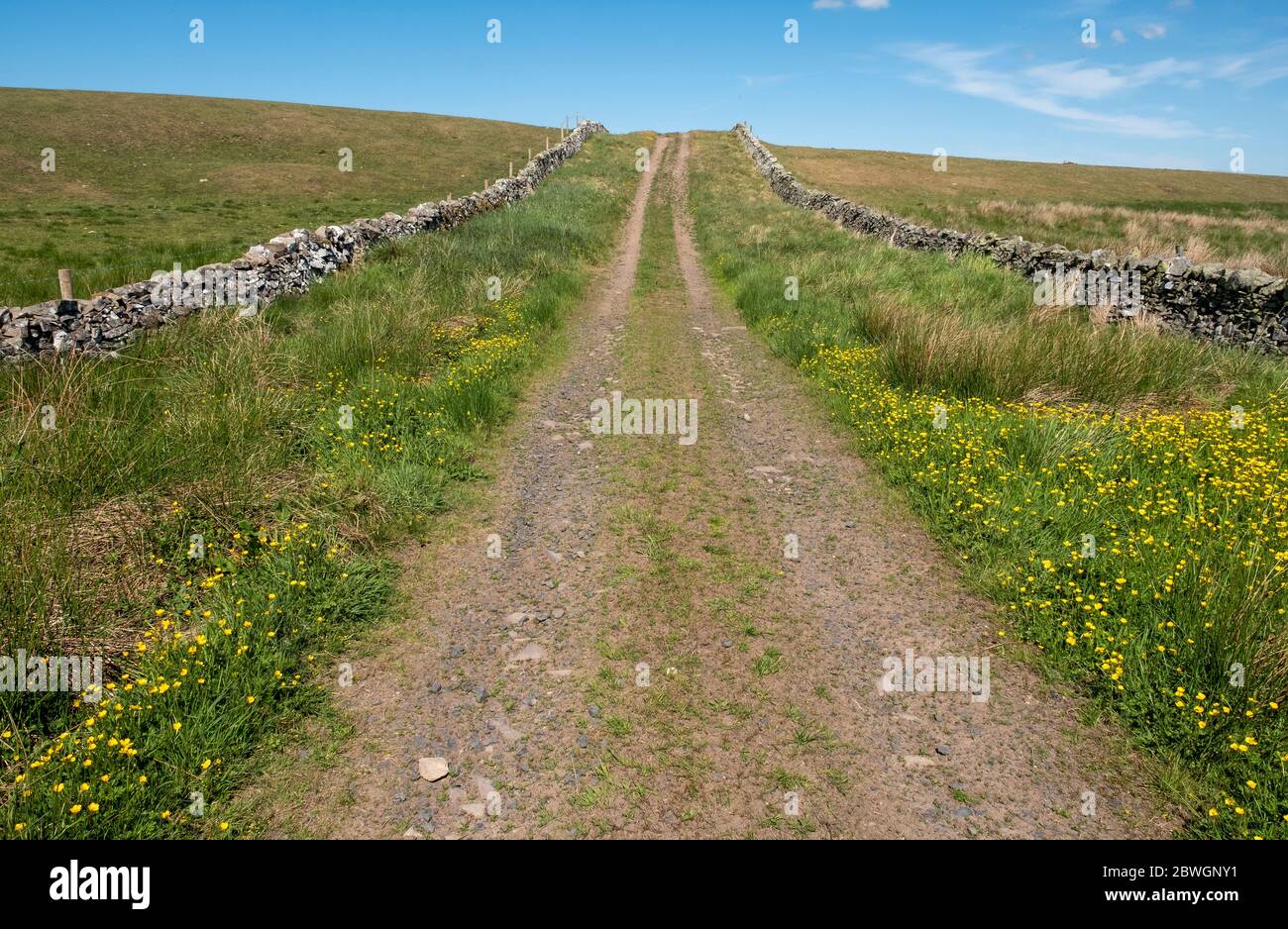 DERE Street, route romaine à Whitton Edge près des frontières écossaises de Jedburgh, Royaume-Uni Banque D'Images