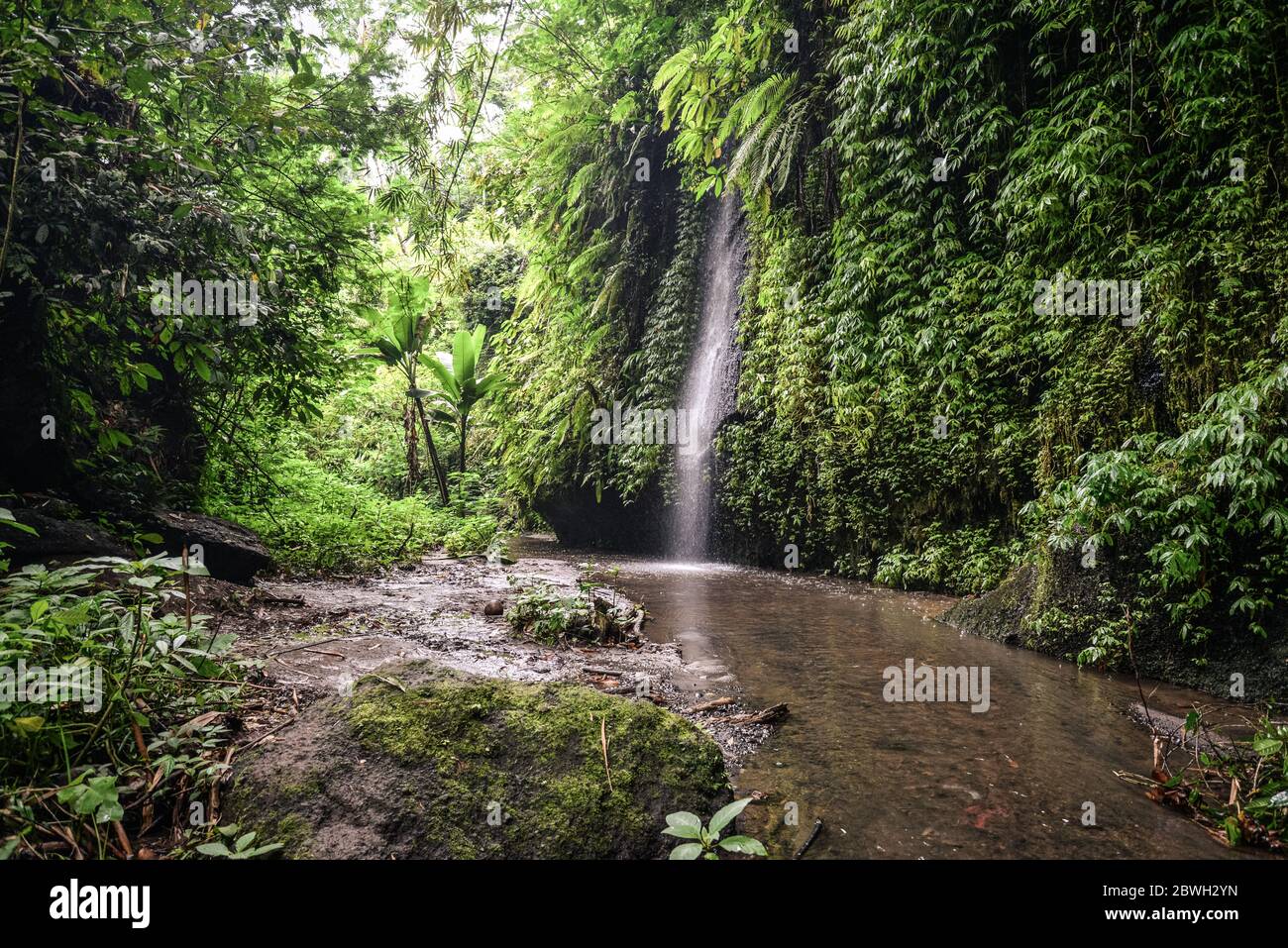 Voir à Cepung Tukad cascade à Bali, Indonésie Banque D'Images