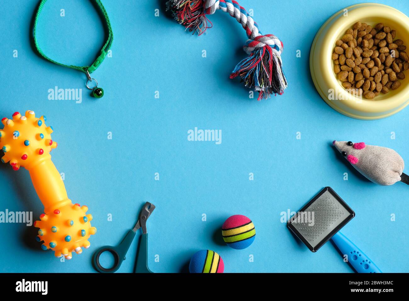 Jouets pour les soins et l'entraînement des animaux, équipement de toilettage pour chats et chiens, bol avec nourriture sur fond bleu. Flat lay, vue de dessus. Banque D'Images