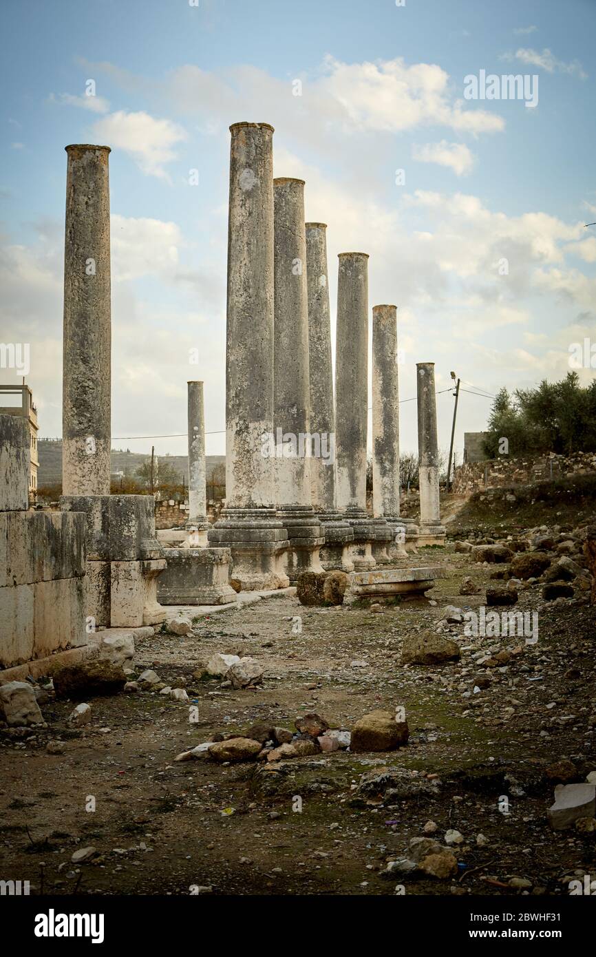 Rangée de colonnes romaines dans un champ de ruines Banque D'Images