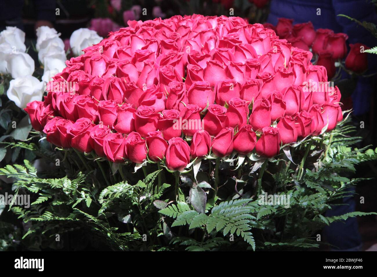 Roses à vendre, Mexico Banque D'Images