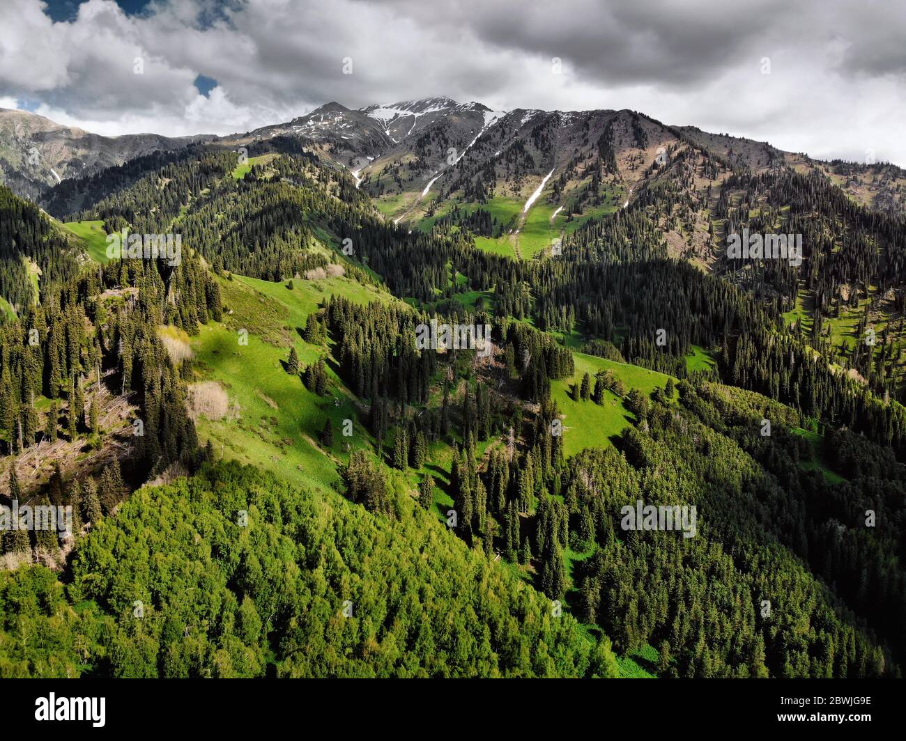 Vue aérienne de la forêt de pins dans de belles montagnes par beau temps ensoleillé. Photo prise avec Drone Banque D'Images