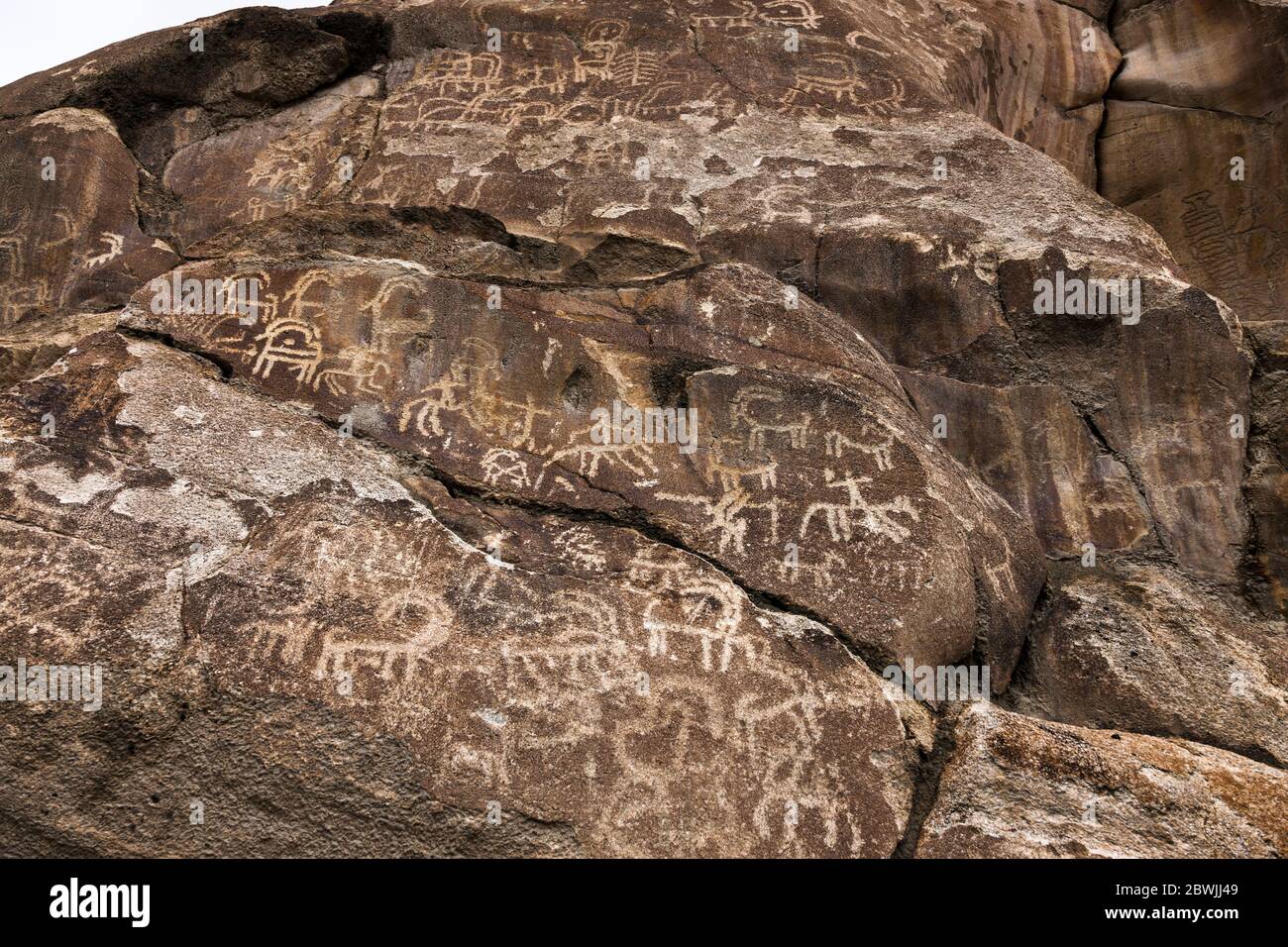 Roche sacrée du Hunza, sculpture de roches de Ganish, gravures de roches anciennes, Ganish, Hunza Nagar, province de Gilgit-Battistan, Pakistan, Asie du Sud, Asie Banque D'Images