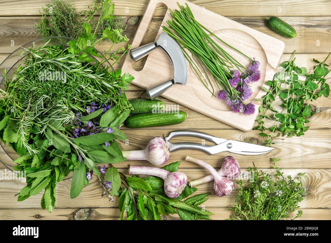 Herbes et légumes frais. La nourriture. Basilic, persil, menthe, thym, ciboulette, ail Banque D'Images