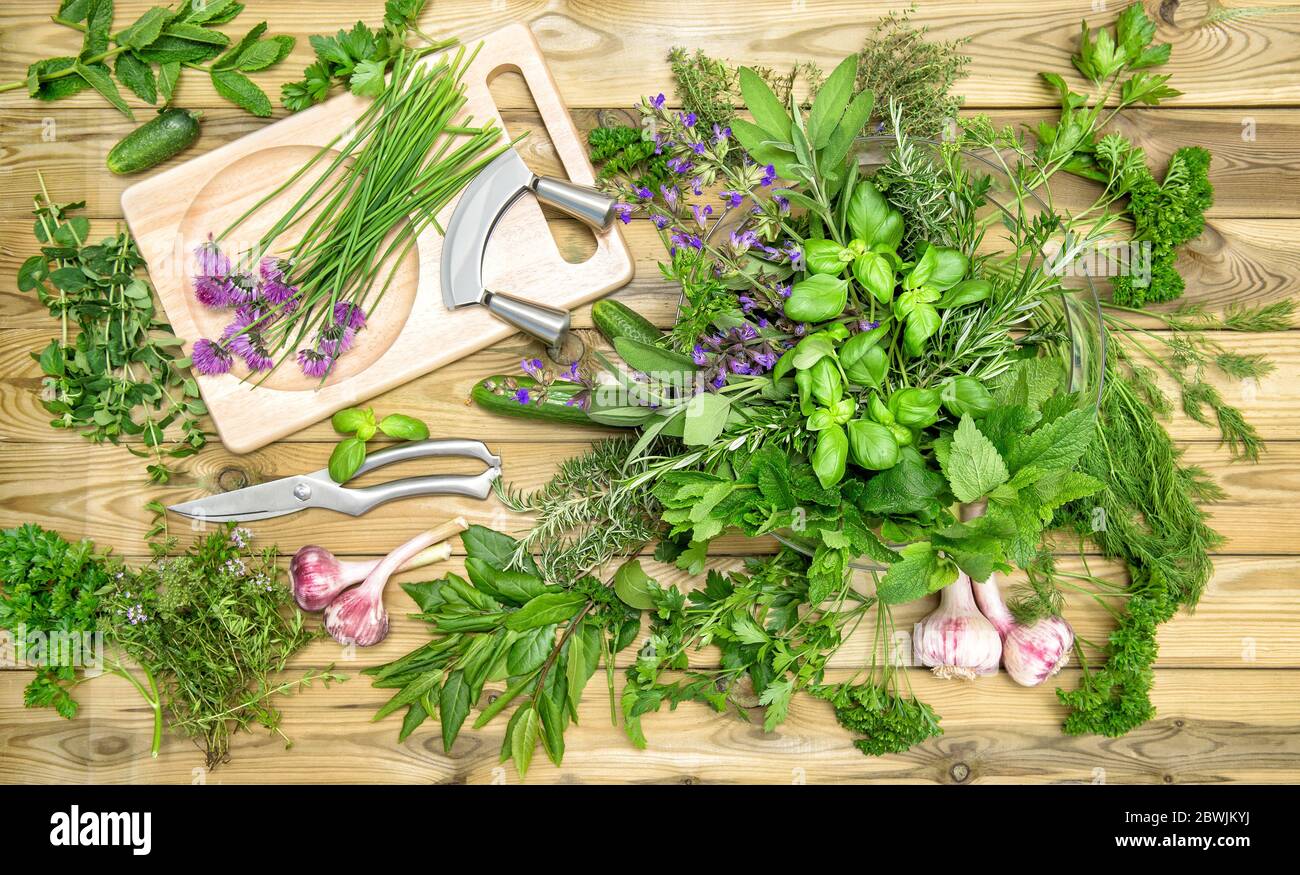 Herbes et légumes. La nourriture. Basilic, persil, menthe, thym, concombre, ail Banque D'Images