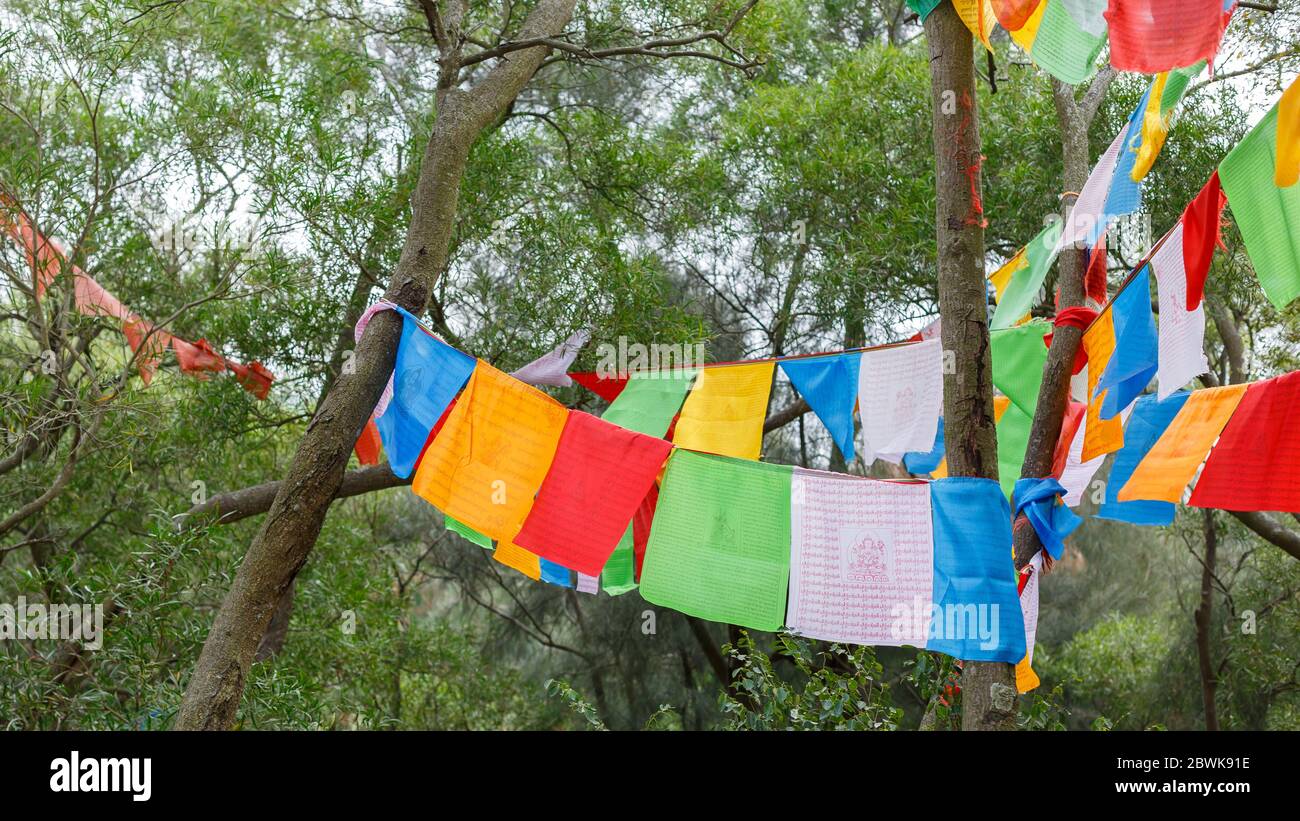 Drapeaux de prière bouddhistes dans les collines du parc du temple de Nanputuo. Drapeaux de prière aux couleurs vives qui agite dans le vent. Format Panorama. Banque D'Images