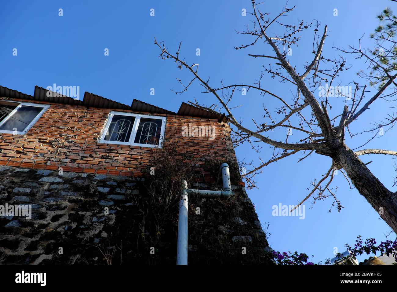 Scène incroyable avec mur de briques maison sur le remblai de roche de la vue de fond, arbre de pin séché à côté de la maison sous le ciel bleu à Da Lat, Vietnam Banque D'Images Scène incroyable avec mur de briques maison sur le remblai de roche de la vue de fond, arbre de pin séché à côté de la maison sous le ciel bleu à Da Lat, Vietnam Banque D'Images