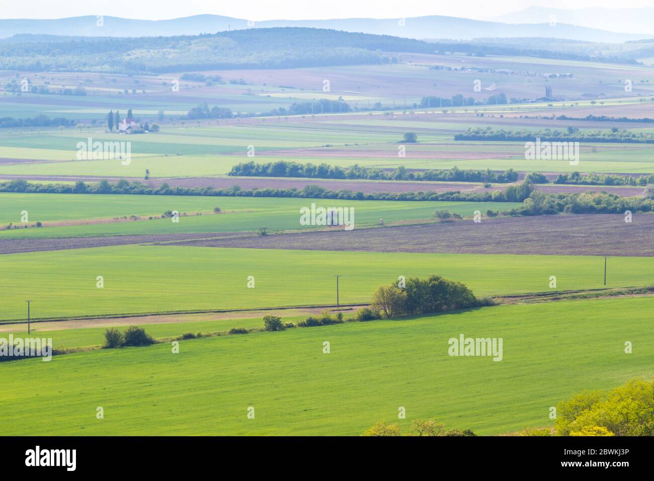 Paysage de terres arables et de collines au printemps, en direction de l'Autriche depuis Becsi-domb, Sopron, Hongrie Banque D'Images