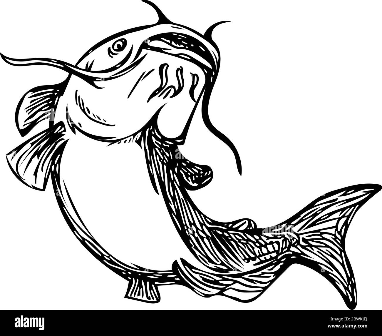 Dessin noir et blanc styleillustration d'un poisson-chat à rayons-fined également connu comme chat de boue, polliwogs ou chucklehead saut en place sur l'isola Illustration de Vecteur
