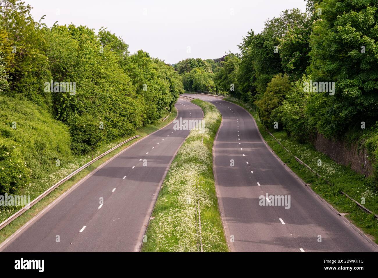 Les fleurs sauvages poussent sur les verges et la réserve centrale de Keynsham Bypass près de Bristol. Banque D'Images