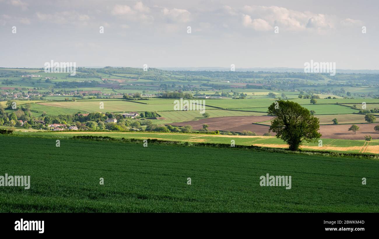 Villages et fermes ponctuent le paysage pastoral de la vallée de Chew dans le nord du Somerset. Banque D'Images
