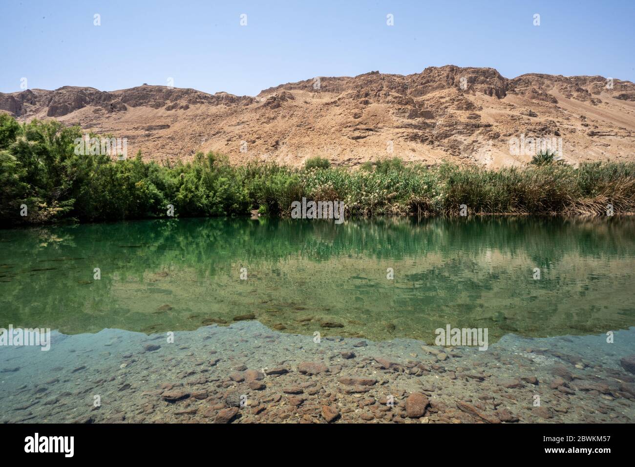 Ein Feshkha (arabe: عين فشخة‎; hébreu: עינות צוקים‎, Einot Tzukim Banque D'Images