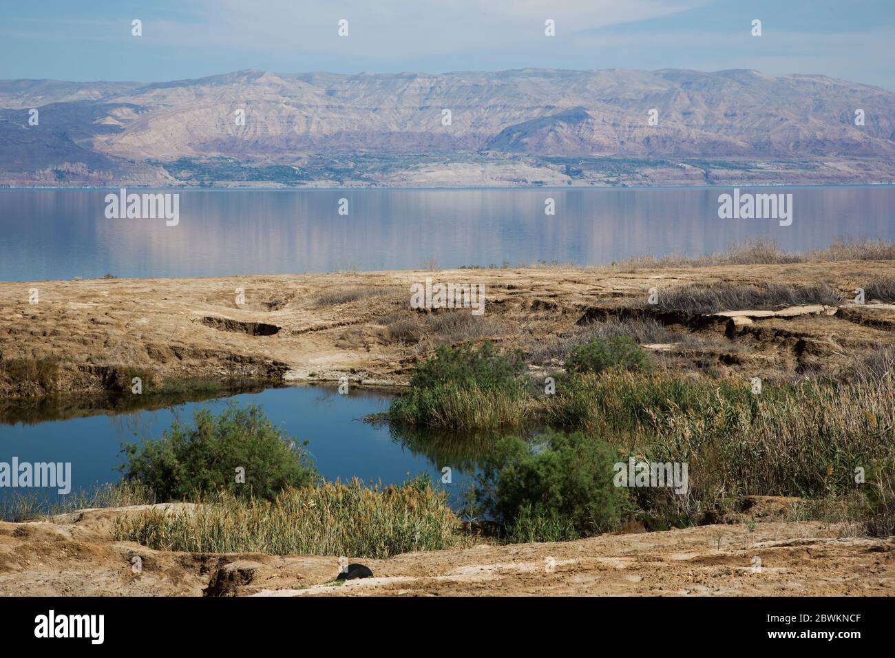 Ein Feshkha (arabe: عين فشخة‎; hébreu: עינות צוקים‎, Einot Tzukim Banque D'Images