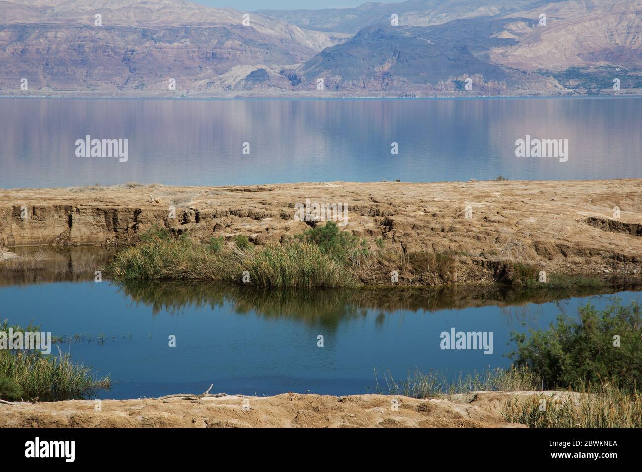 Ein Feshkha (arabe: عين فشخة‎; hébreu: עינות צוקים‎, Einot Tzukim Banque D'Images