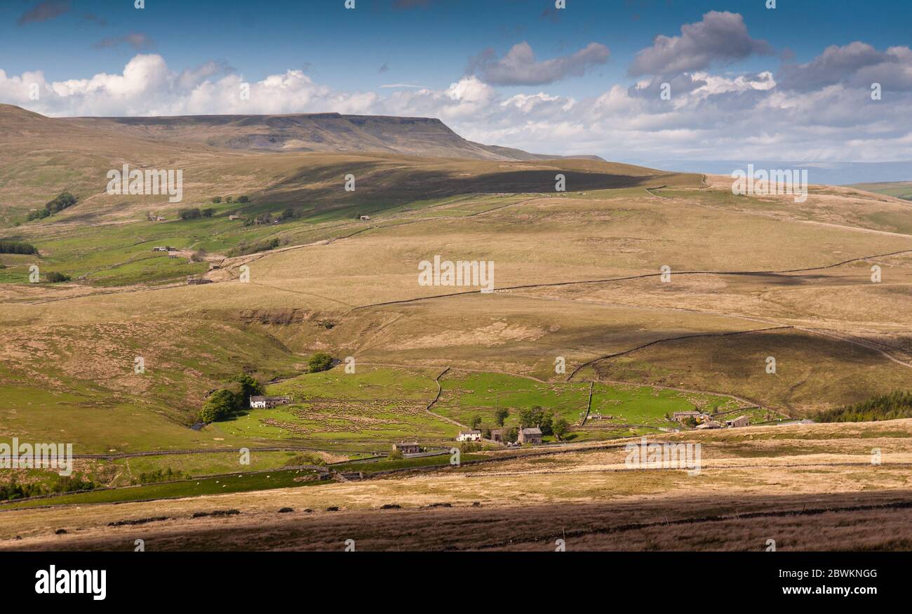 Les cottages sont dispersés à la tête de la vallée de Garsdale sous Wild Boar Fell et d'autres collines de la lande des Yorkshire Dales d'Angleterre. Banque D'Images